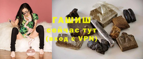 хмурый Алексин