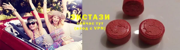 ECSTASY Алзамай