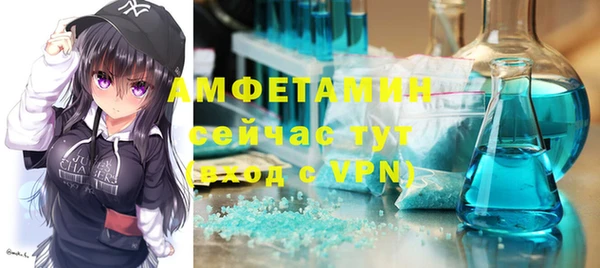 хмурый Алексин
